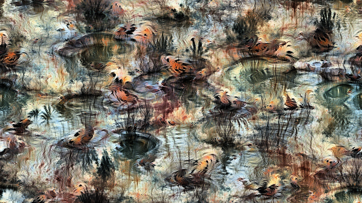 Birds on a pond, Vertebrata series